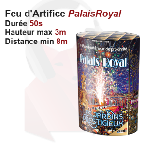 Feu d'artifice automatique Palais Royal 50s 3m Feu d'artifice automatique Palais Royal 50s 3m