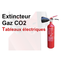 Location d'un extincteur GAZ Feu E 2Kg - Retour goupillé