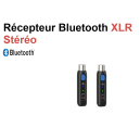 Location récepteur Bluetooth Mono XLR