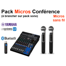 Location pack 2 Micros Conférence à brancher sur pack sono