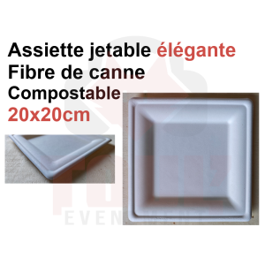 25 assiettes carr&eacute;es 20cm &eacute;l&eacute;gantes, compostables, jetables en fibre de canne