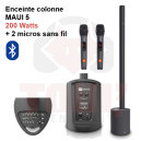 Location enceinte colonne MAUI 5  Bluetooth + micros sans fil