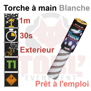 Torche &agrave; main blanche 30 secondes