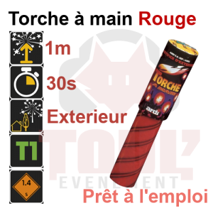 Torche &agrave; main blanche 30 secondes
