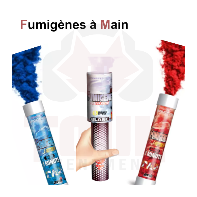 Fumig&egrave;nes et torches &agrave; main - Toulouse
